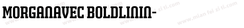 MorganAvec BoldLinin字体转换